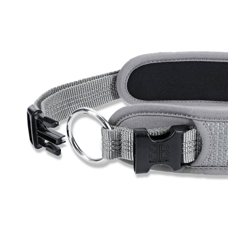 Active Light Cotton & Mesh Dog Collar, Lightweight and Adjustable,