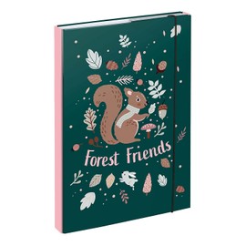 Baagl Notebook Box for School Bag A4 - Collection Folder for Children with Elastic Band and Inner Flaps - Folder Folder with Elastic Band for Girls (Squirrel)