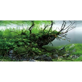 AWERT 24x16 inches Branches Fish Tank Background Seaweed Aquarium Background River Bed & Lake Aquarium Background Vinyl Background
