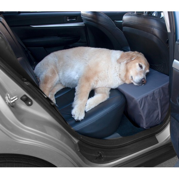 Dogs Live Here Waterproof Microfiber and Solid Foam Safety Back