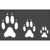 Unbranded 1- 5x8 inch Stencil (TA-35) Wolf Paw Print 4",
