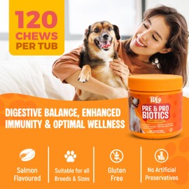 The Dog Lady (TDL) The Dog Lady (TDL) Pre & Probiotic Chews for Dogs C 120 Soft Chews C Supports Gut Health, Digestion & Immunity C Salmon Flavour Dog Probiotic Supplements