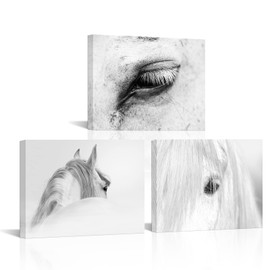 RnnJoile White Horse Canvas Wall Art Horse Eyes Painting Picture for Modern Western Cowboys Home Decor Framed 12"x16" (Small)