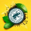 Lipton Southern Sweet Iced Tea K-Cups 72 Count