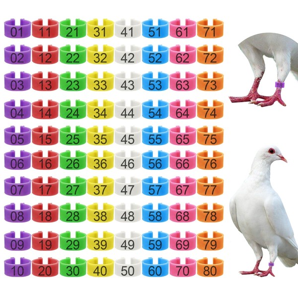 80 Pcs 8mm Pigeon Leg Bands with 8 Colors Numbered