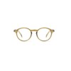IZIPIZI Unisex Shape D Lesebrille, Golden Green, 48 x 142