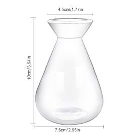 Emsiok 2 Pieces Avocado Seed Starter Vases, Avocados Tree Growing Kit Acorn Bulb Vase Grow Glass Avocado Pit Planter Pot Clear Hydroponics Container for Gardening Lover