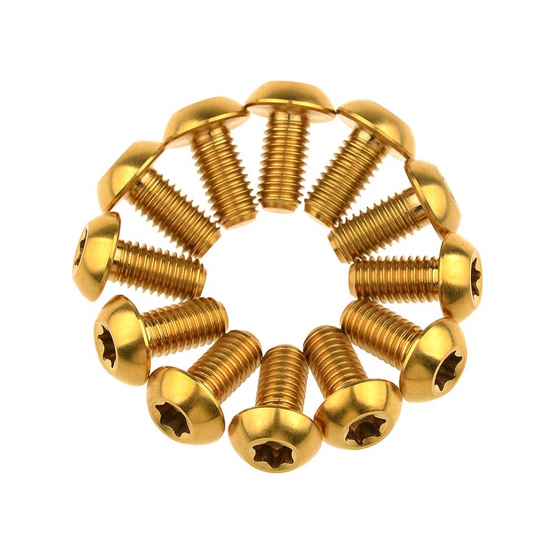 Wanyifa 12 tornillos de titanio Ti Torx M5 x 10