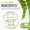 Hemp Oil Balm with Arnica, Camphor, Menthol & Peppermint, Herbal