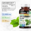Cápsulas de Menta Spearmint, 500 Mg, Hoja de Orgánica (Mentha