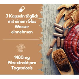 EXVital Vitalpilze Komplex- Hericium, Cordyceps, Reishi, Chaga, Shiitake & Maitake- 1480mg Pilzextrakt pro Tag, 120 vegane Kapseln,hochdosierter Pilzkomplex, laborgeprüft