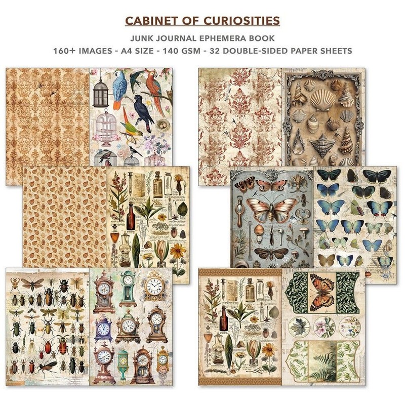 Ciao Bella Cabinet Of Curiosities Ephemera Book & Junk Journal