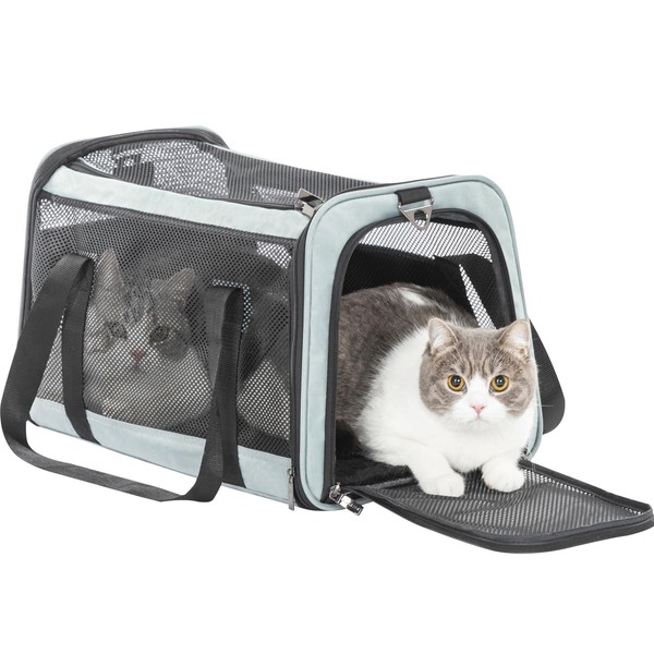 Petsfit 18 x 11 x 11 Pet Carrier Airline Approved,