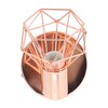 Swing Arm Wall Lamp 350 Degree Rotary Cage Shade Iron