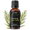 Aceite Esencial de Tea Tree - 50 ML (Árbol de