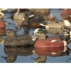 Avery GHG Hunter Series Life Size Wigeon Waterfowl Floating Hunting