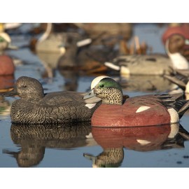Avery GHG Hunter Series Life Size Wigeon Waterfowl Floating Hunting Decoys (6-Pack) | Ultra-Realistic Carvings and Paint Schemes | 60/40 Dura-Keel Design | 4 Drakes, 2 Hens - 73043