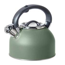 OGGI Tea Kettle for Stove Top - 64oz / 1.9lt, Stainless Steel with Loud Whistle, Ideal Hot Water Kettle and Water Boiler - Sage