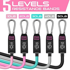 RENRANRING Bandas de Resistencia para Entrenamiento, Bandas de Ejercicio de 150 Libras, Bandas de Entrenamiento, Bandas de Resistencia con Asas para H