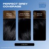 Clairol Lasting Colour Permanent Hair Dye | Perfect Grey Coverage
