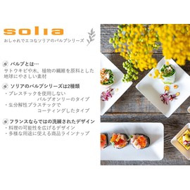 SOLIA VO57021 Deep Plate Disposable Tableware, 0.8 fl oz (25 ml), 50 Pieces, Paper Plates, Handle, Eco Material, Pulp, French Cuisine