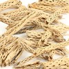 Koyal Wholesale Natural Cholla Wood Aquarium Branches, Airplants Decor, Reptile