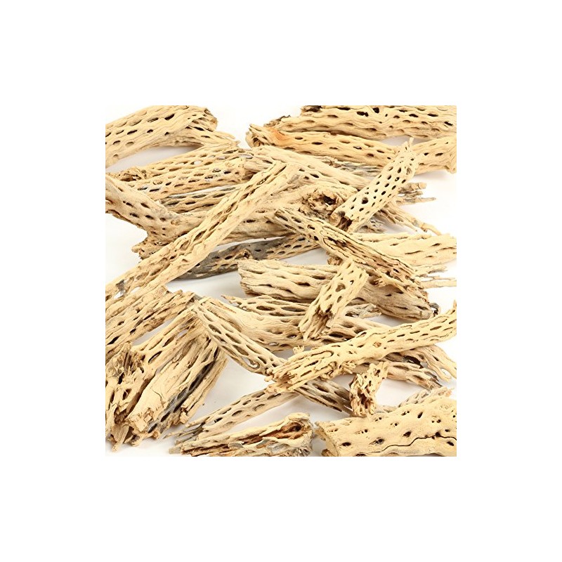 Koyal Wholesale Natural Cholla Wood Aquarium Branches, Airplants Decor, Reptile