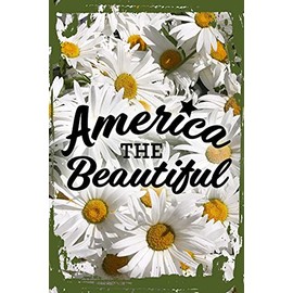 Daisy Flower Wall Art America the beautiful god bless united states freedom Hanging Wall Sign 8 x 12 Decor Funny Gift