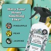 Pet-Pourri Pawsitively Fresh Pet Odor Deodorizer Spray, 16 Fl Oz,