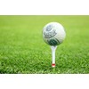 JP Lann 3 Pack $100 Dollar Bills Golf Balls -