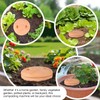 Underground Worm Farm 10 * 4.13 * 4.13Inch Garden Composting