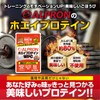 ALPRON (アルプロン) ホエイプロテイン 900g チョコチップミルクココア風味 プロテイン WPC ダイエット 溶けやすい コスパ