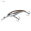 DAIWA Steese Shad 54SP SR Shirauo 2
