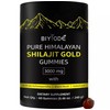 Set of 3 Altai Shilajit Resin Highly Concentrated | 3