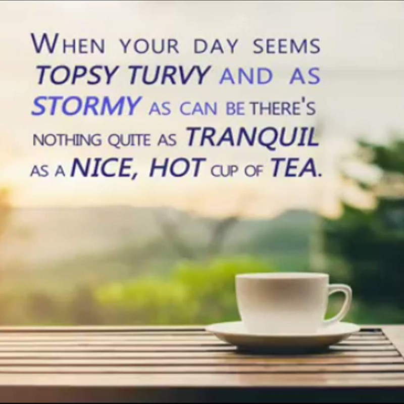 Tetley Natural Decaf Green Tea, Decaffinated Tea, 72 Teabags (Pack