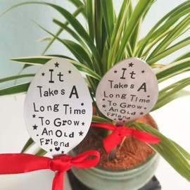 2 Pcs Garden Marker Friendship Gifts, Garden Label Stake, Creative Plant Marker Spoon Tag, Metal Garden Decorative Sign, Perfect Birthday Gardening Gifts for Friends