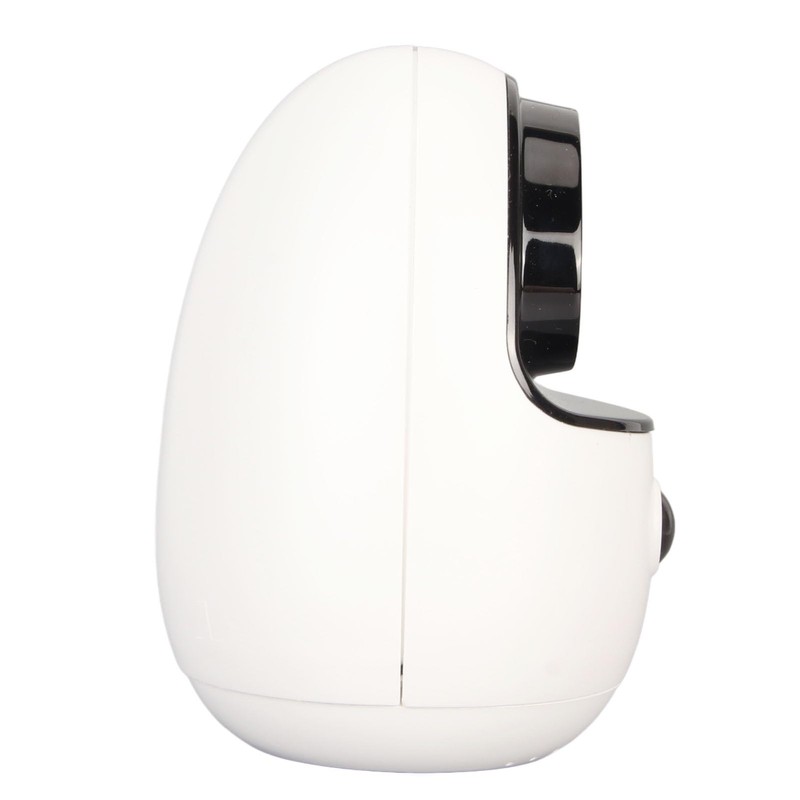 Wireless Intelligent Surveillance Camera, 2.4GHz 1080p HD Baby Dog and