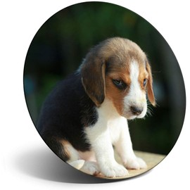 Destination Vinyl ltd Magnet for Refrigerator, Fridge - Cute Beagle Puppy Dog Baby for Office, Cabinet and Whiteboard, Magnetic Stickers, 15527