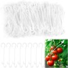 LQTSLFM Pack of 120 Tomato Hooks, White, Reusable Tomato Hooks,