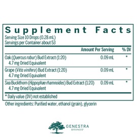 Genestra Brands - Ener-gen - Oak, Grape, and Sea Buckthorn - 0.5 fl. oz.