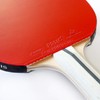Palio Expert 3.0 Table Tennis Bat & Case | ITTF