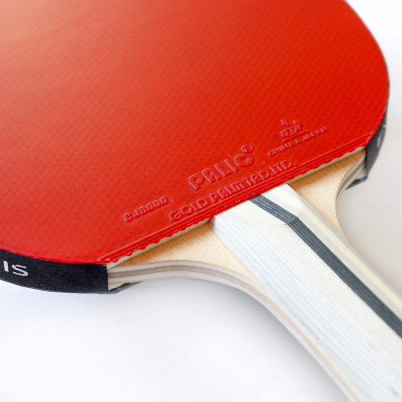 Palio Expert 3.0 Table Tennis Bat & Case | ITTF