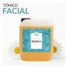 Tónico Facial De Manzanilla Equilibrante De Ph Spa 10 Lts
