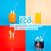 ChooseEco Glass Straws Reusable Pack of 8 + Wool Cleaning