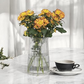 Enova Floral Clear Ribbed Glass Vase for Flowers 4.0" W 8.0" H,Glass Flower Vase, Flower Vase for Bouquet, Modern Glass Vase for Living Room (1, Clear-VCV01-0508)