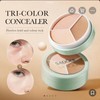 Sadoer artistic Tri-color concealer Cream Foundation Makeup Blend