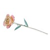 Long Stem Dipped 24k Gold Rose in Gift Box with
