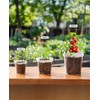 homenote Clear Nursery Pots for Plant,3/4/5 Inch Plant Pot for