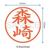 シャチハタ 印鑑 ハンコ ネーム9 XL-9 印面9.5ミリ 森崎
