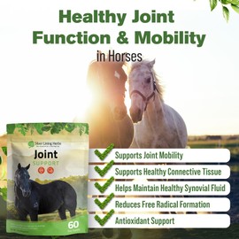 Silver Lining Herbs Horse Joint Support Supplement - Joint Complex, Mobility & Comfort Horse Supplements - Equinety Supplement with Natural Herbal Blend of Ginger, Burdock & More - 1 lb 60-Day Supply